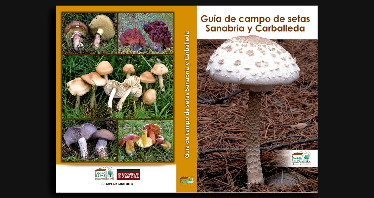 Guía de campo de setas: Sanabria y Carballeda